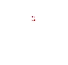 Chef Experience